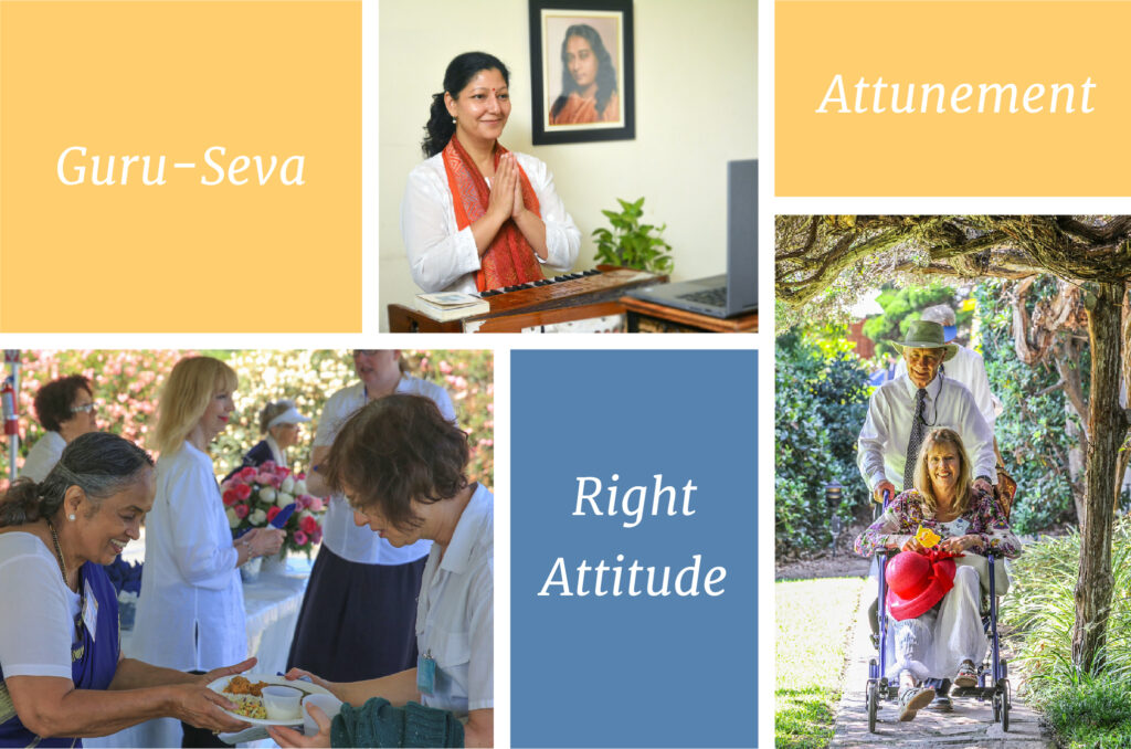 YSO Guiding Principles